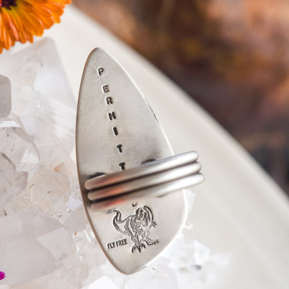 
                  
                    ALL SEEING EYE MONTANA AGATE - Fly Free
                  
                