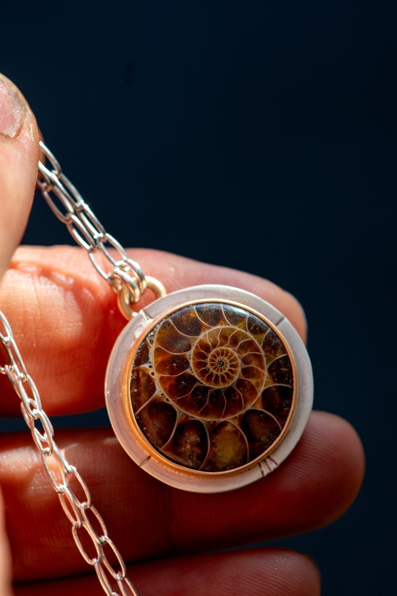 ANCIENT SHORES AMMONITE NECKLACES - Fly Free