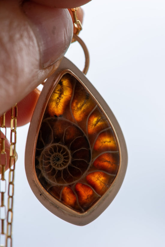 ANCIENT SHORES AMMONITE NECKLACES - Fly Free