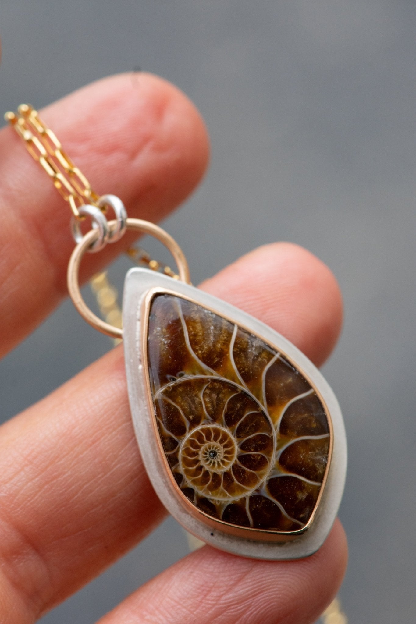 ANCIENT SHORES AMMONITE NECKLACES - Fly Free