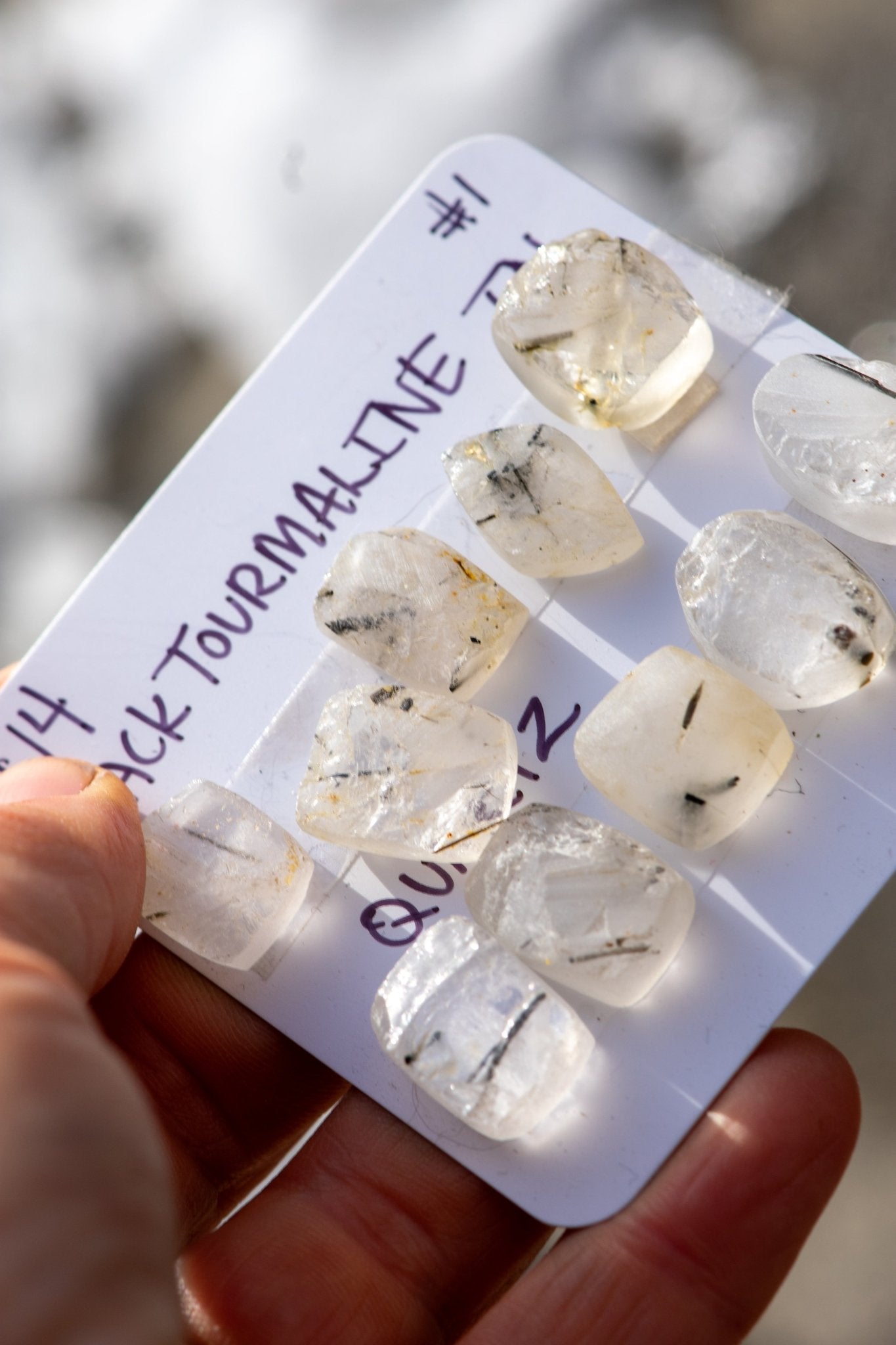 CELEBRATION STONES - Fly Free