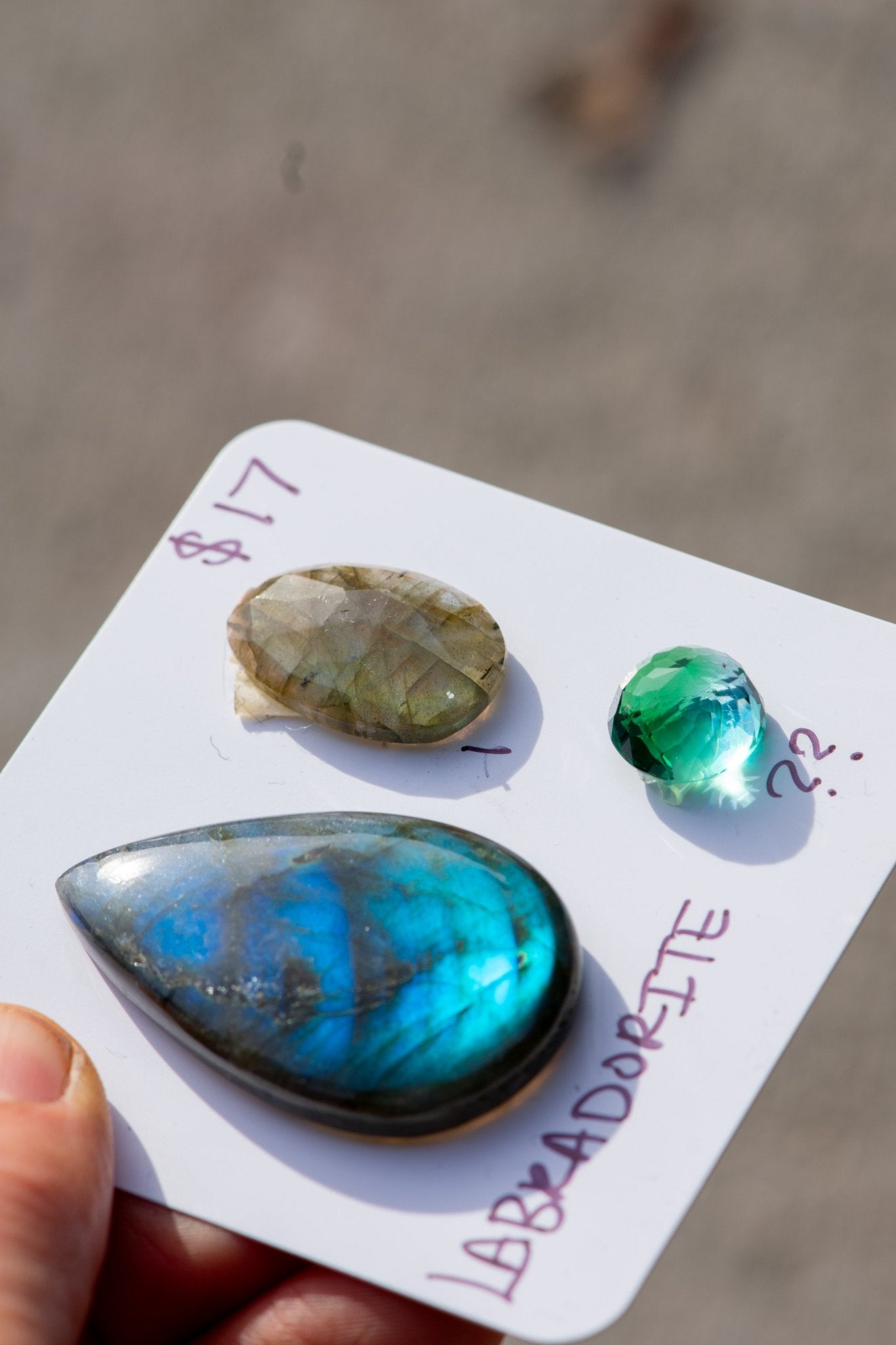 CELEBRATION STONES - Fly Free