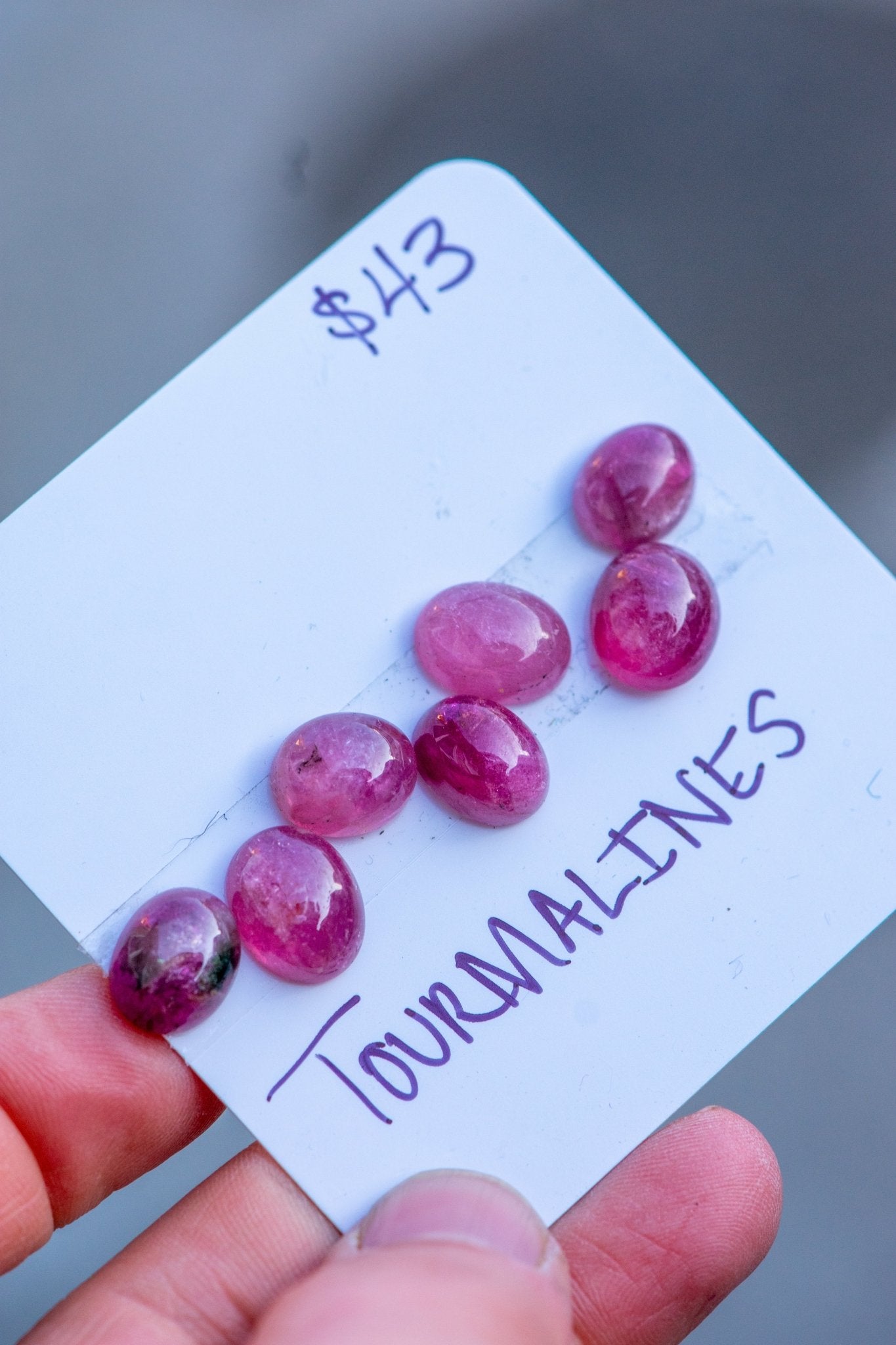 CURIOUSER STONES - Fly Free