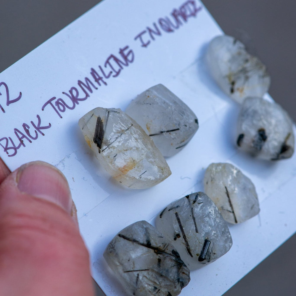 DASHES AND DOT STONES - Fly Free