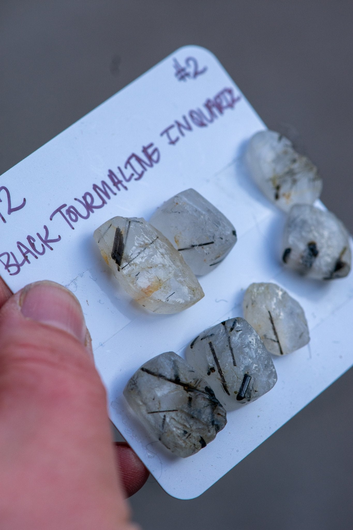 DASHES AND DOT STONES - Fly Free