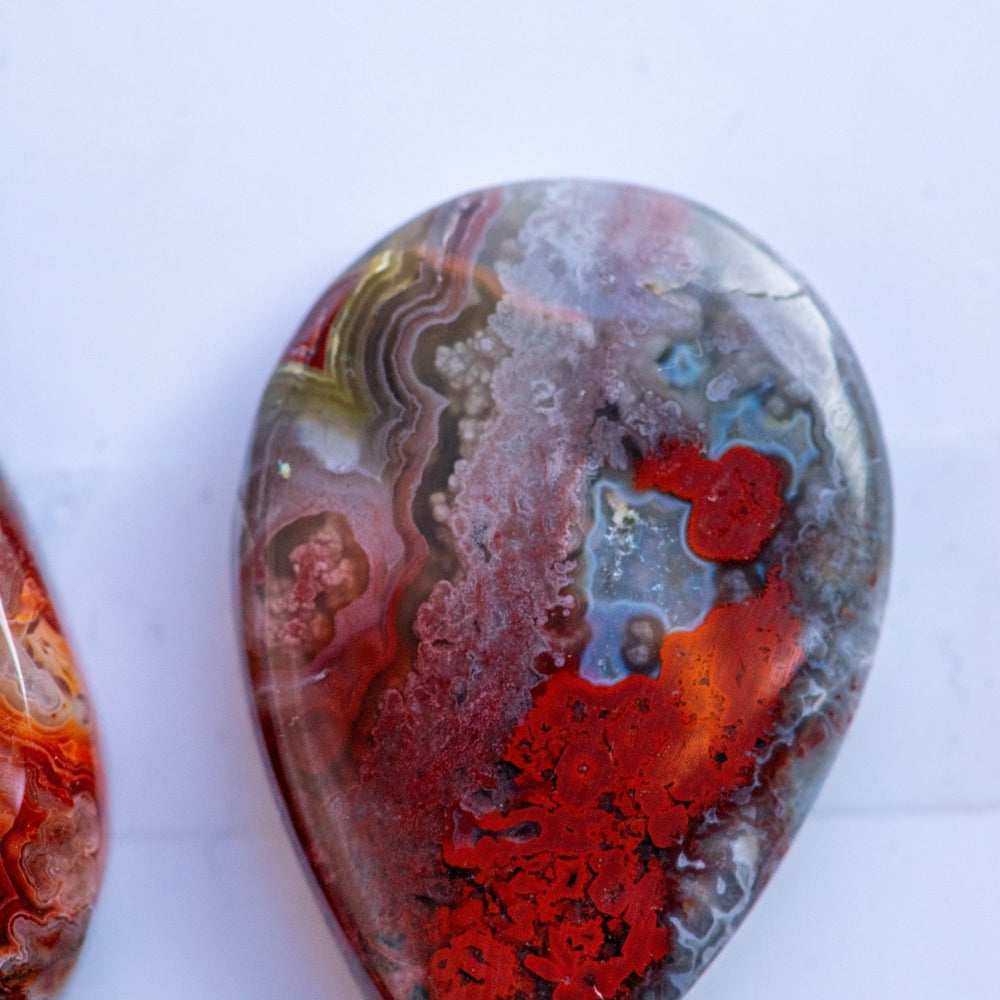 
                  
                    DASHES AND DOT STONES - Fly Free
                  
                