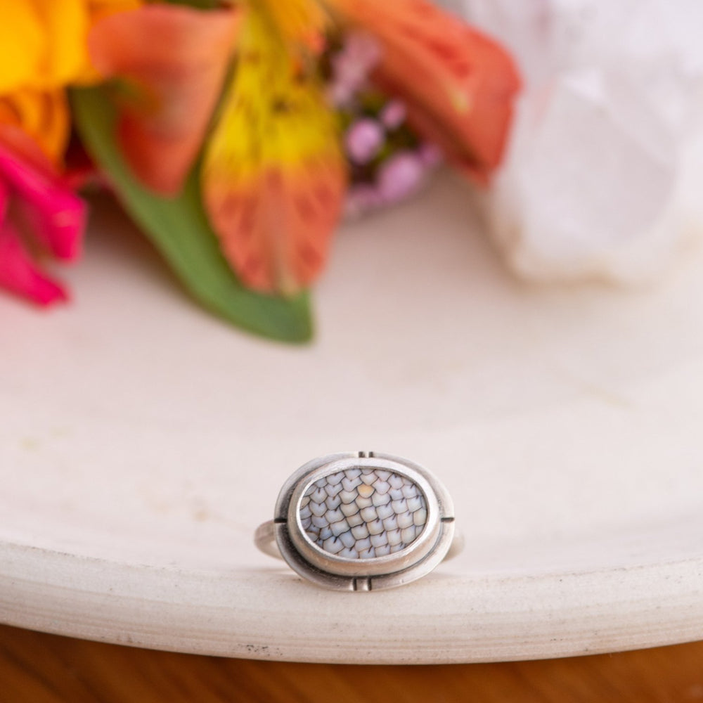 FINAL FISH FOSSIL RING - Fly Free