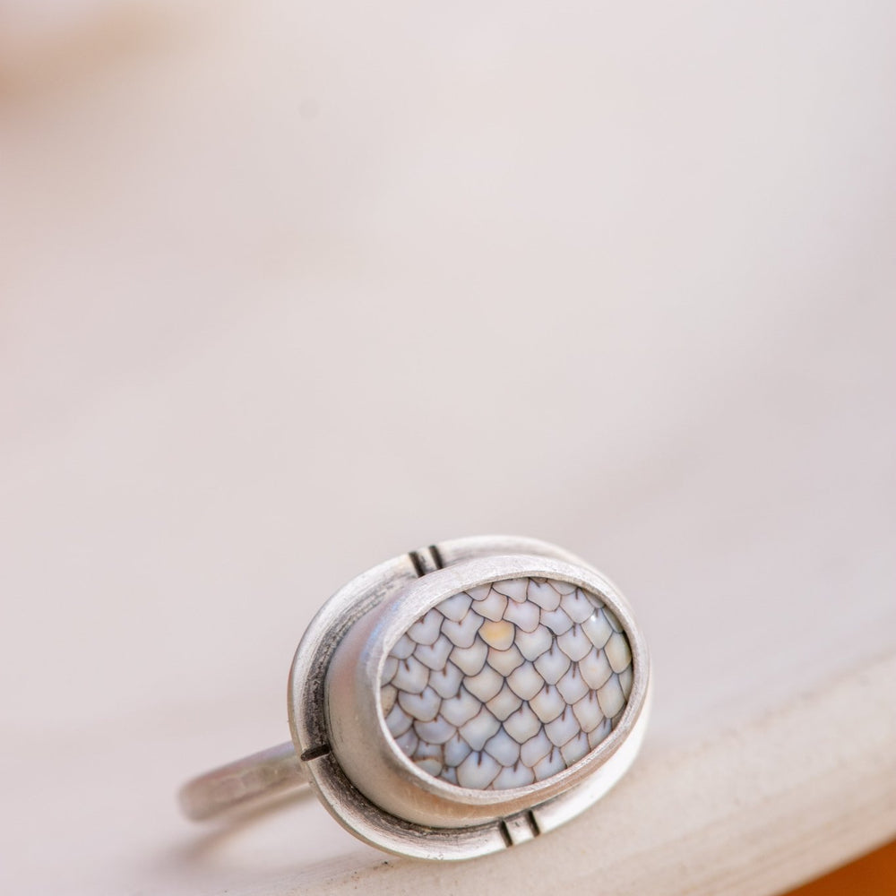FINAL FISH FOSSIL RING - Fly Free