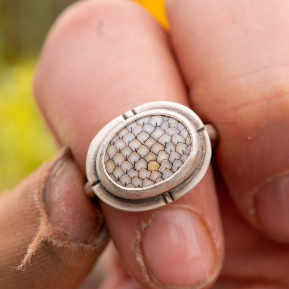 
                  
                    FINAL FISH FOSSIL RING - Fly Free
                  
                