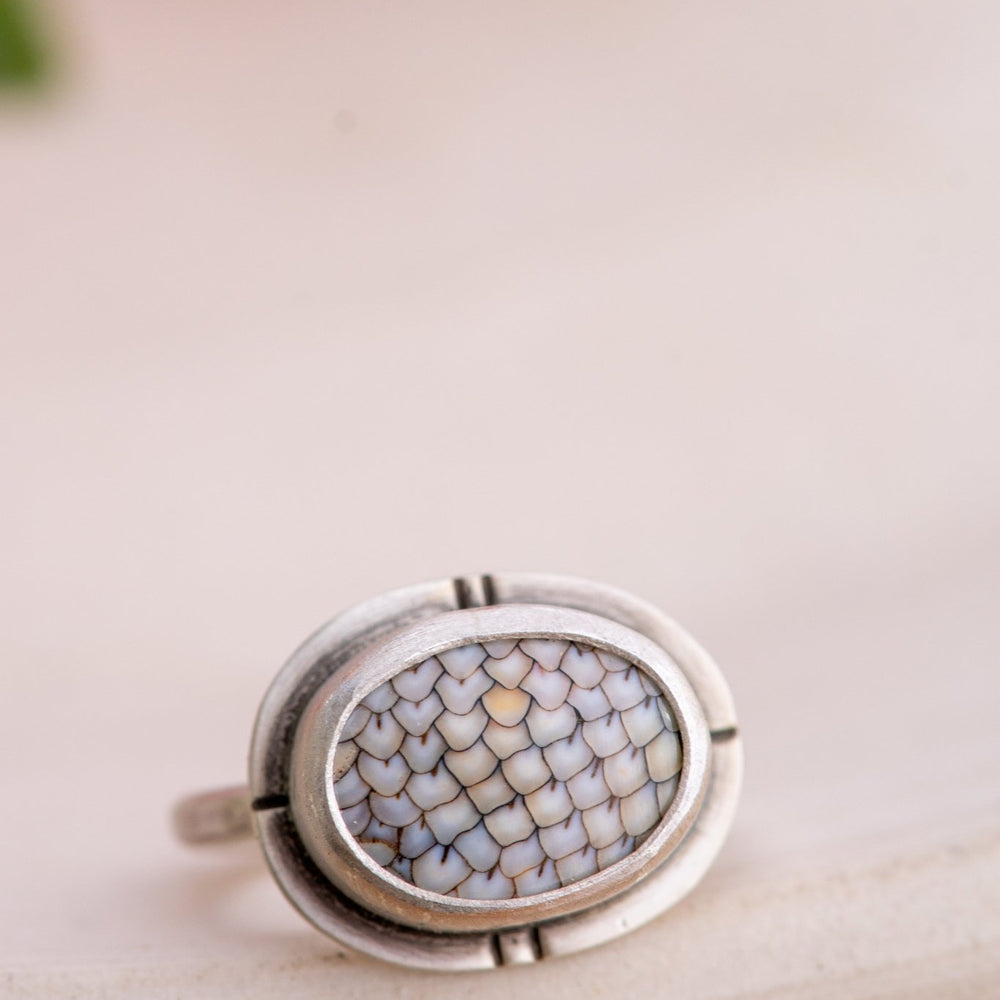 
                  
                    FINAL FISH FOSSIL RING - Fly Free
                  
                