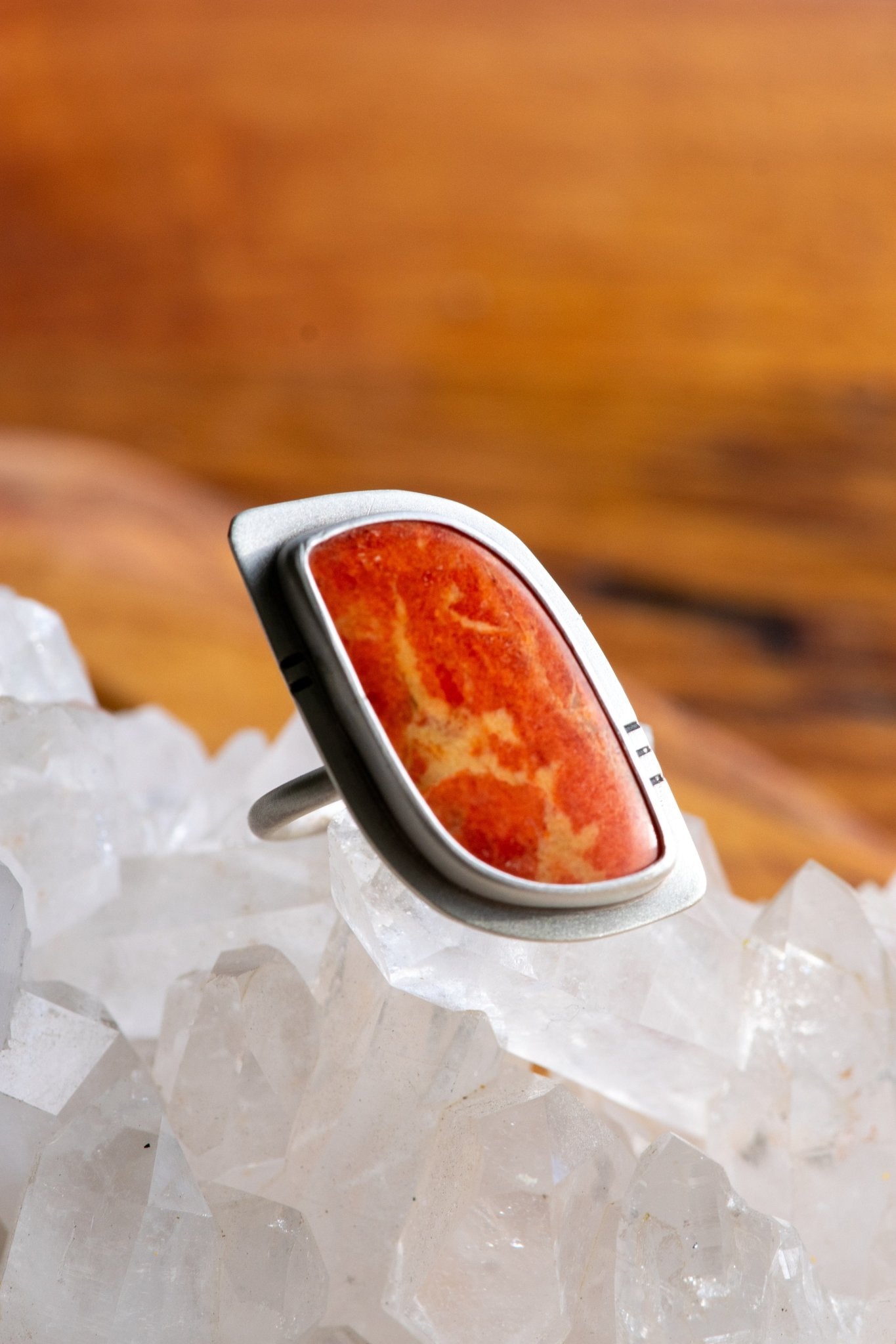 FOSSILIZED SPONGE CORAL RING - Fly Free