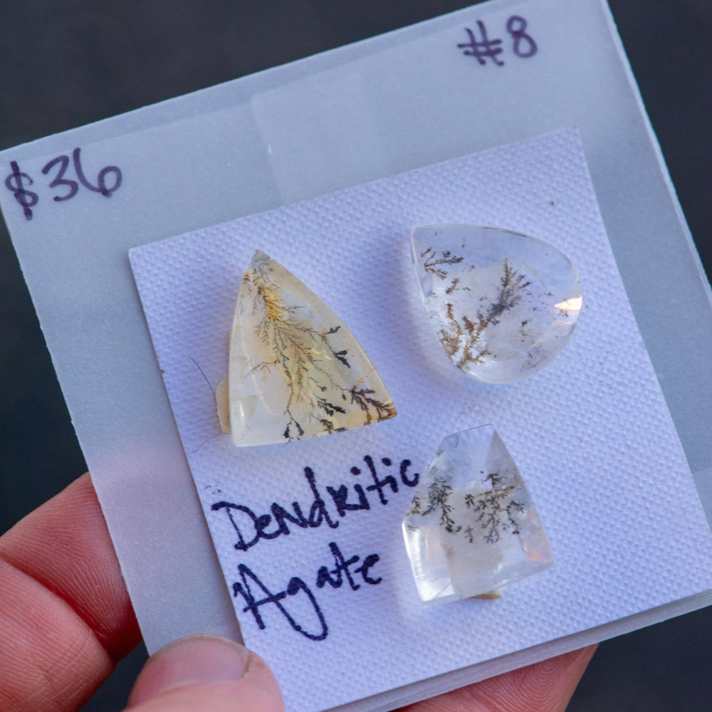 
                  
                    OLD EARTH STONES - Fly Free
                  
                