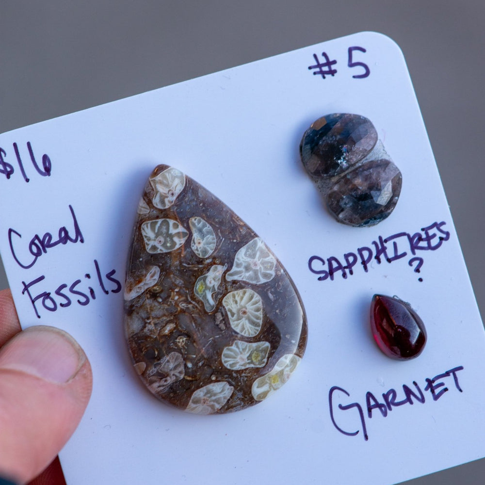 
                  
                    OLD EARTH STONES - Fly Free
                  
                