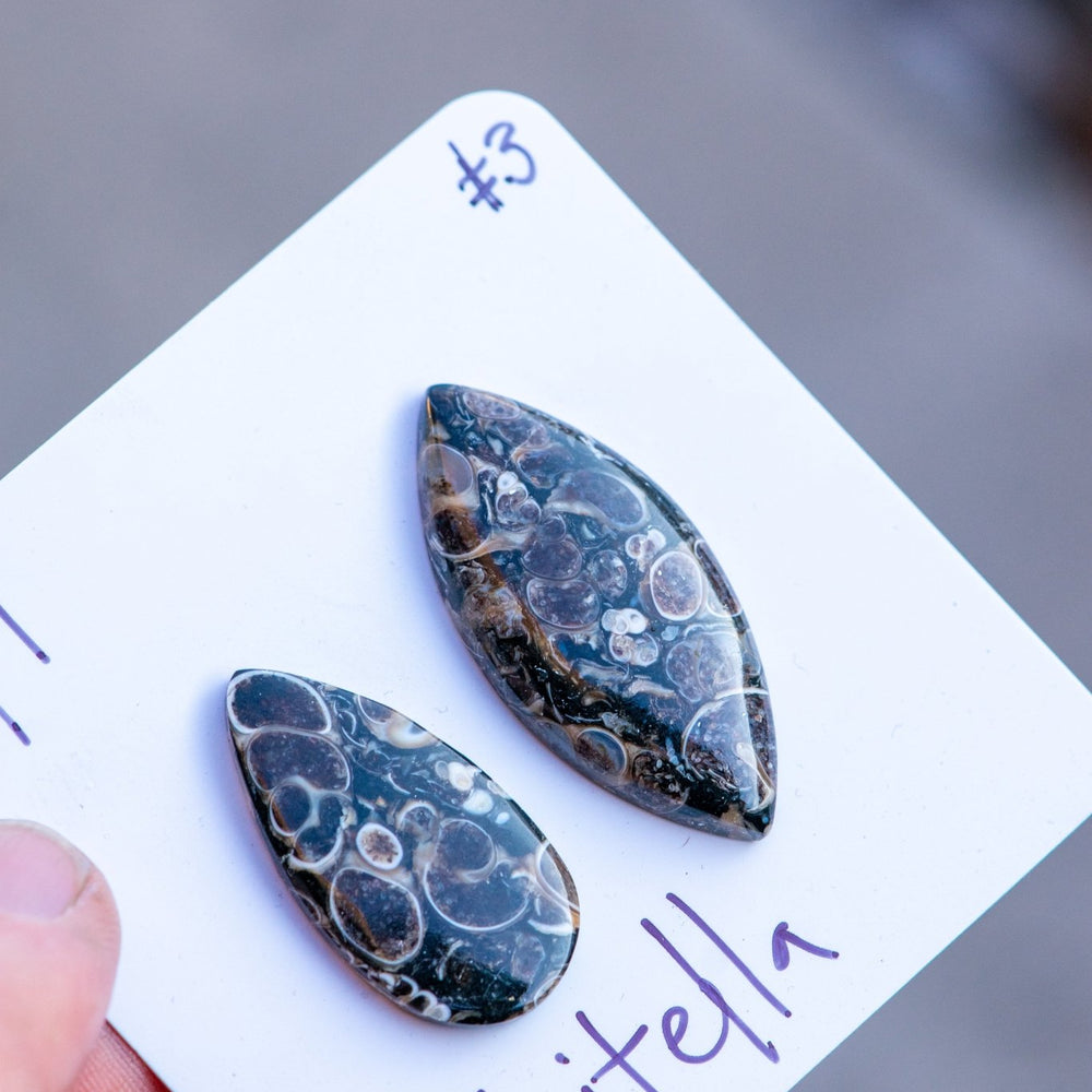 
                  
                    OLD EARTH STONES - Fly Free
                  
                