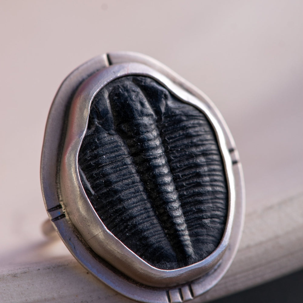 TRILOBYTE FROM ANCIENT SHORES RING - Fly Free