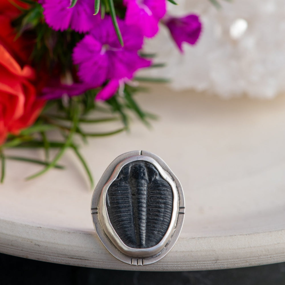 TRILOBYTE FROM ANCIENT SHORES RING - Fly Free