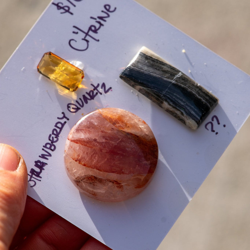 WANDERING STONES - Fly Free