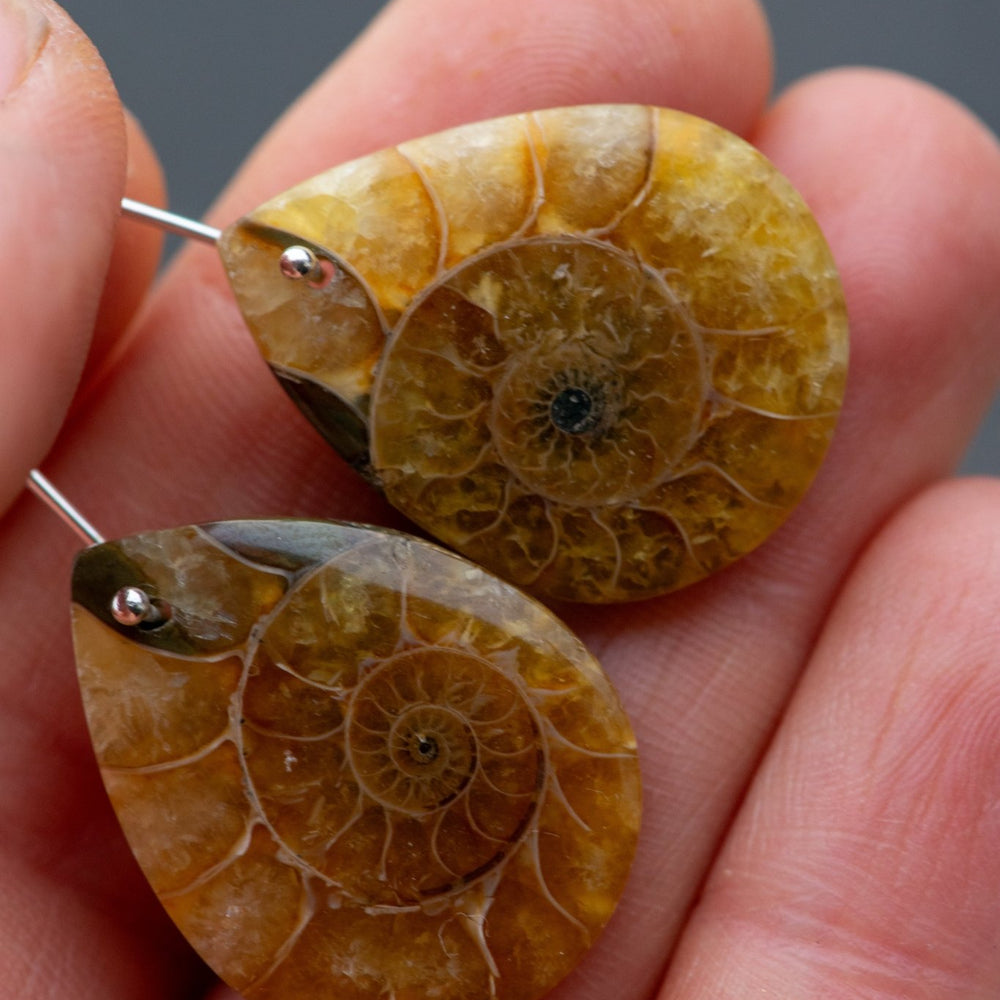 
                  
                    WILD WOODS EARRING SET - Fly Free
                  
                