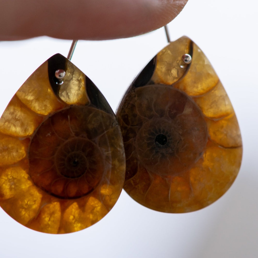
                  
                    WILD WOODS EARRING SET - Fly Free
                  
                