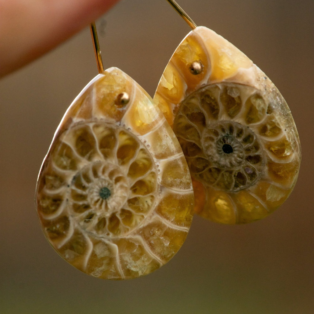 
                  
                    BIG WATER EARRING SET PT. 2 - Fly Free
                  
                