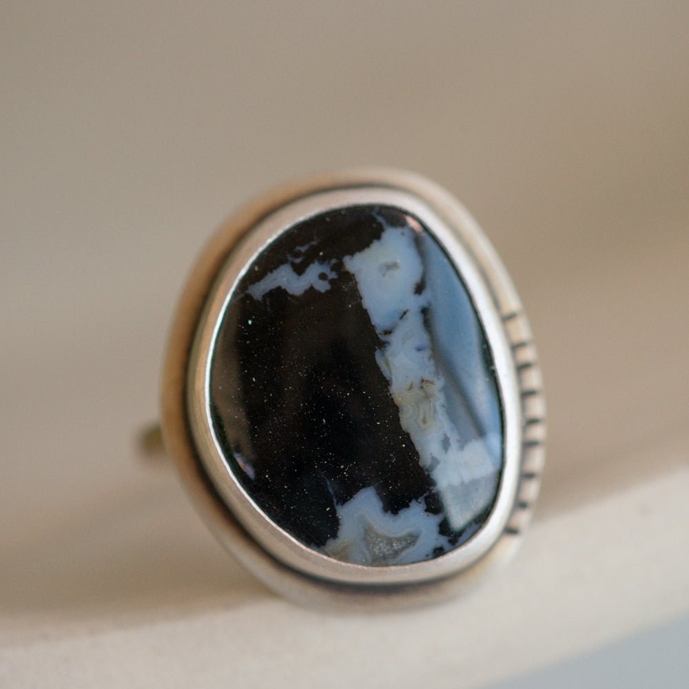 CHARRED TIMBER NO. 16 - Fly Free