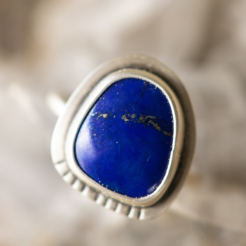
                  
                    COBALT NO. 1 - Fly Free
                  
                