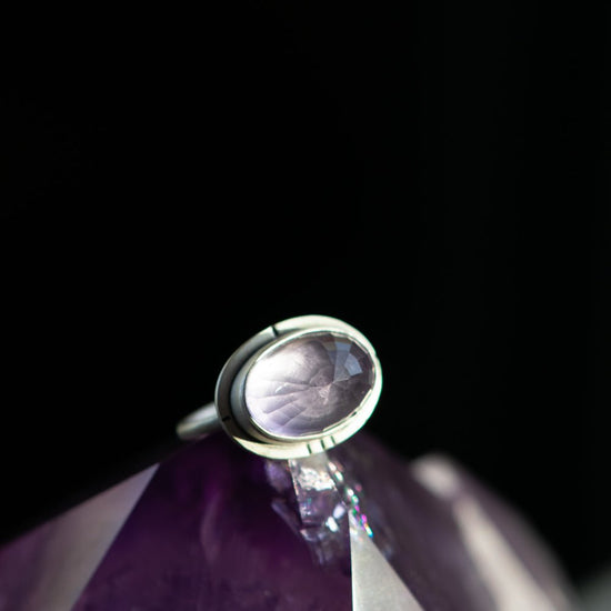 LAVENDER NO. 26 - Fly Free