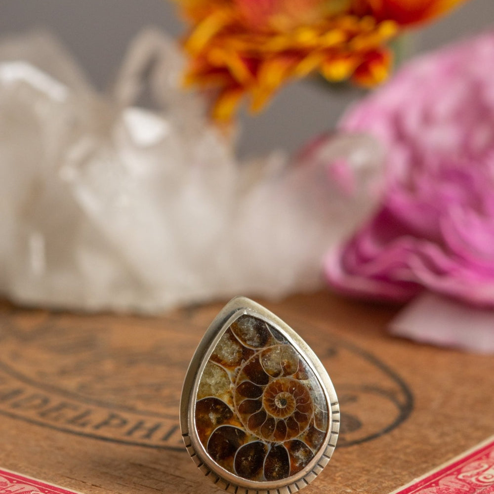 
                  
                    OLD STORIES AMMONITE RING - Fly Free
                  
                