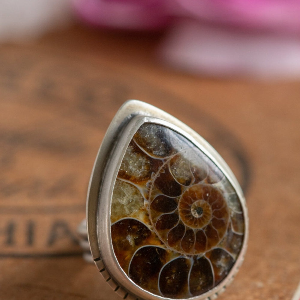 
                  
                    OLD STORIES AMMONITE RING - Fly Free
                  
                
