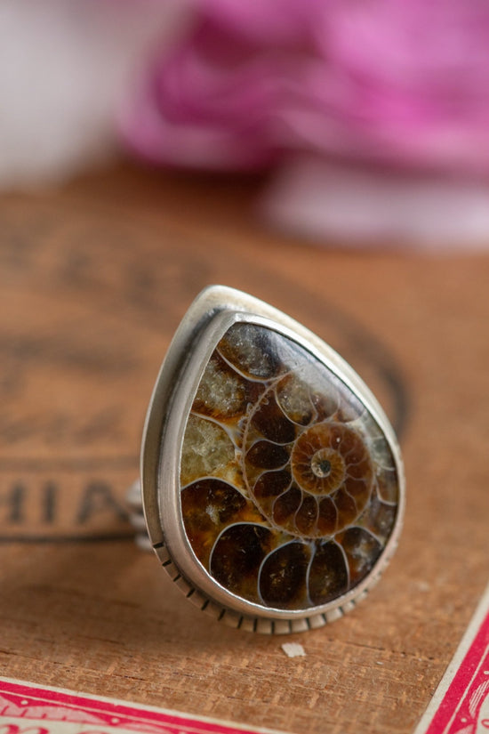 OLD STORIES AMMONITE RING - Fly Free