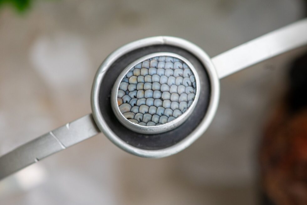 ANCIENT FOSSIL CUFF - Fly Free
