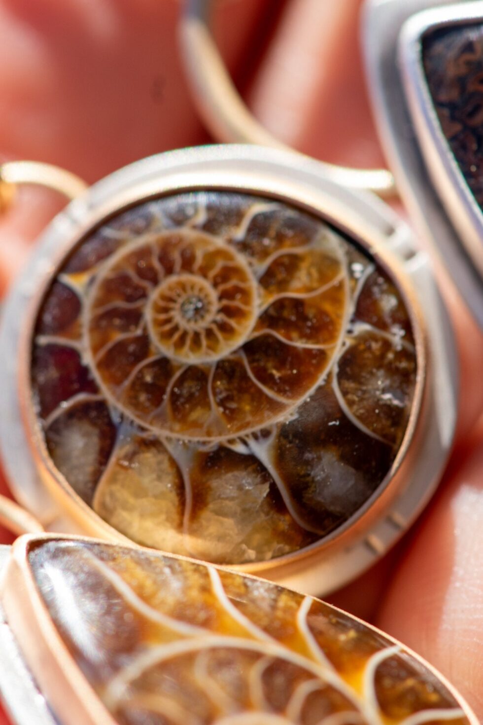 ANCIENT SHORES AMMONITE NECKLACES - Fly Free