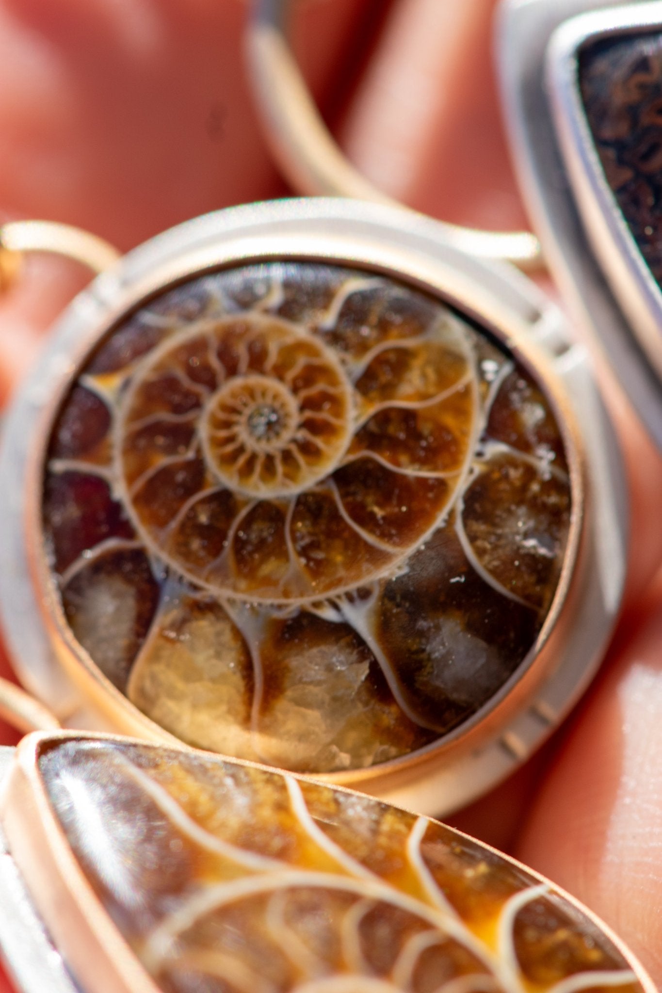 ANCIENT SHORES AMMONITE NECKLACES - Fly Free