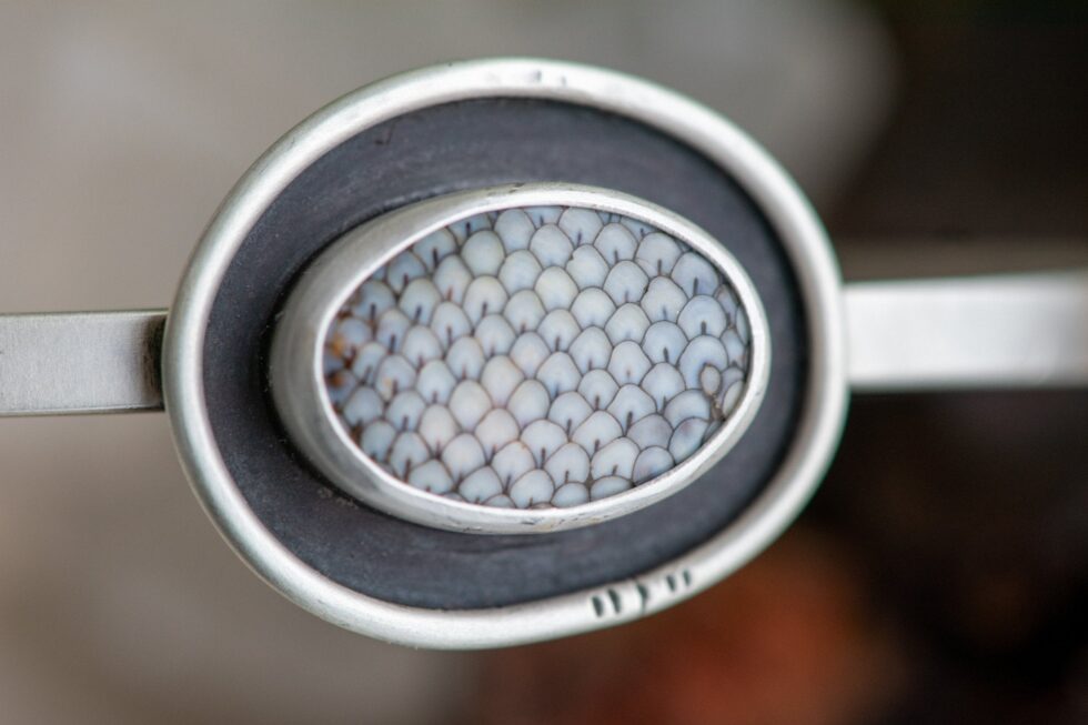 EON FISH FOSSIL CUFF - Fly Free