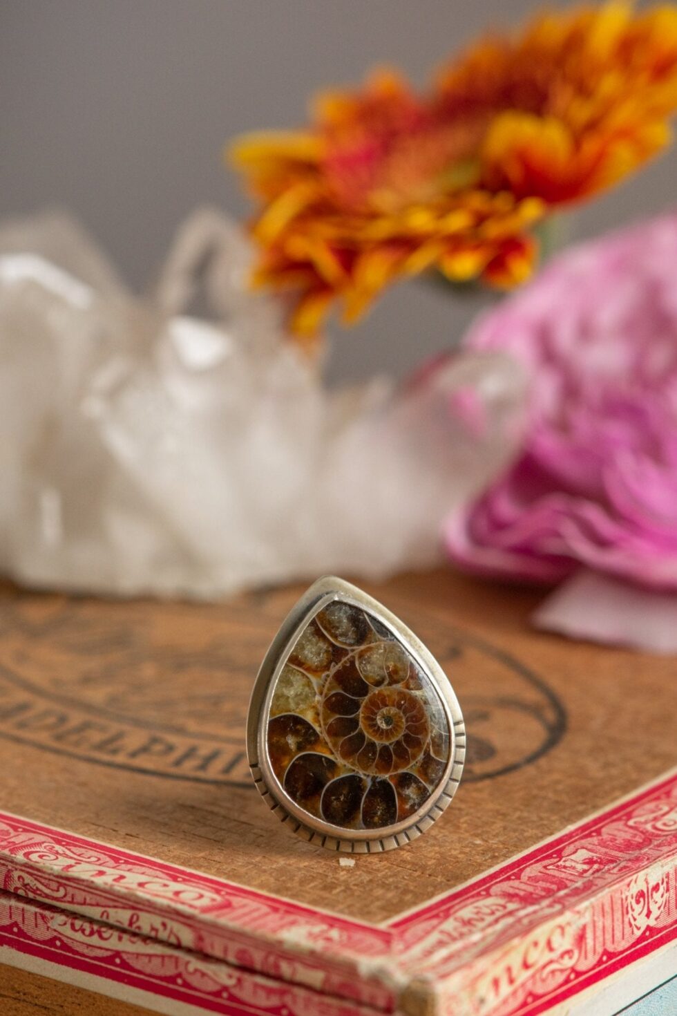 OLD STORIES AMMONITE RING - Fly Free