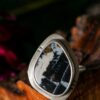 OLD WOOD OLD MONTANA RING - Fly Free
