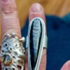 ORTHOCERAS RING - Fly Free