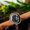 STARLIGHT GUIDE RING - Fly Free